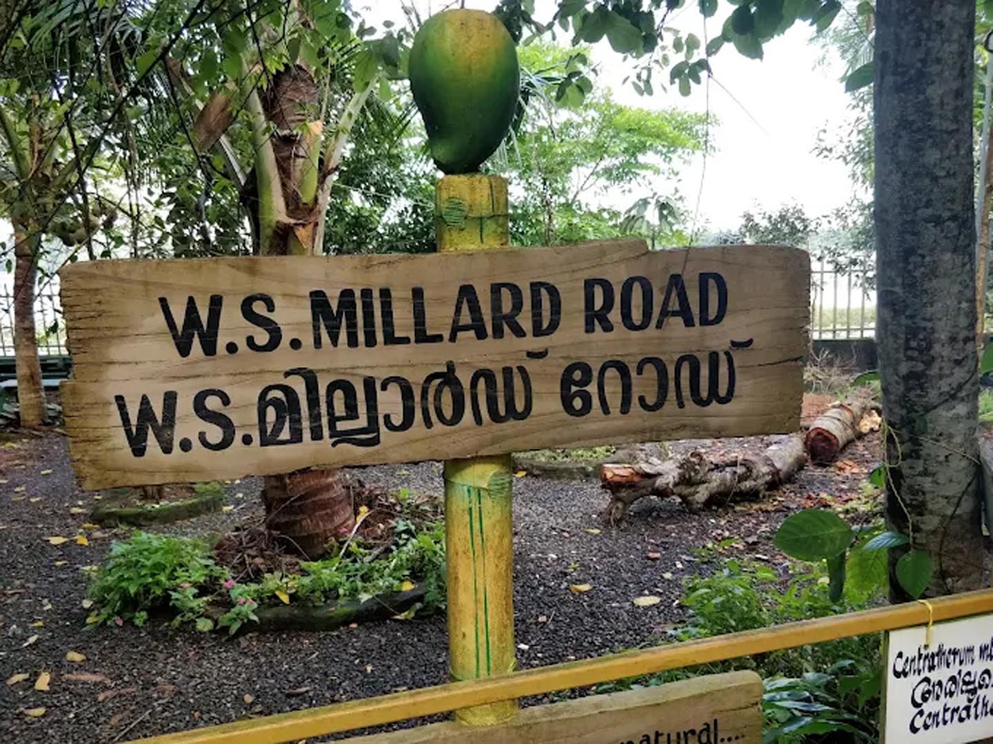Mango Meadows Agricultural Theme Park, Kottayam, Kerala, India